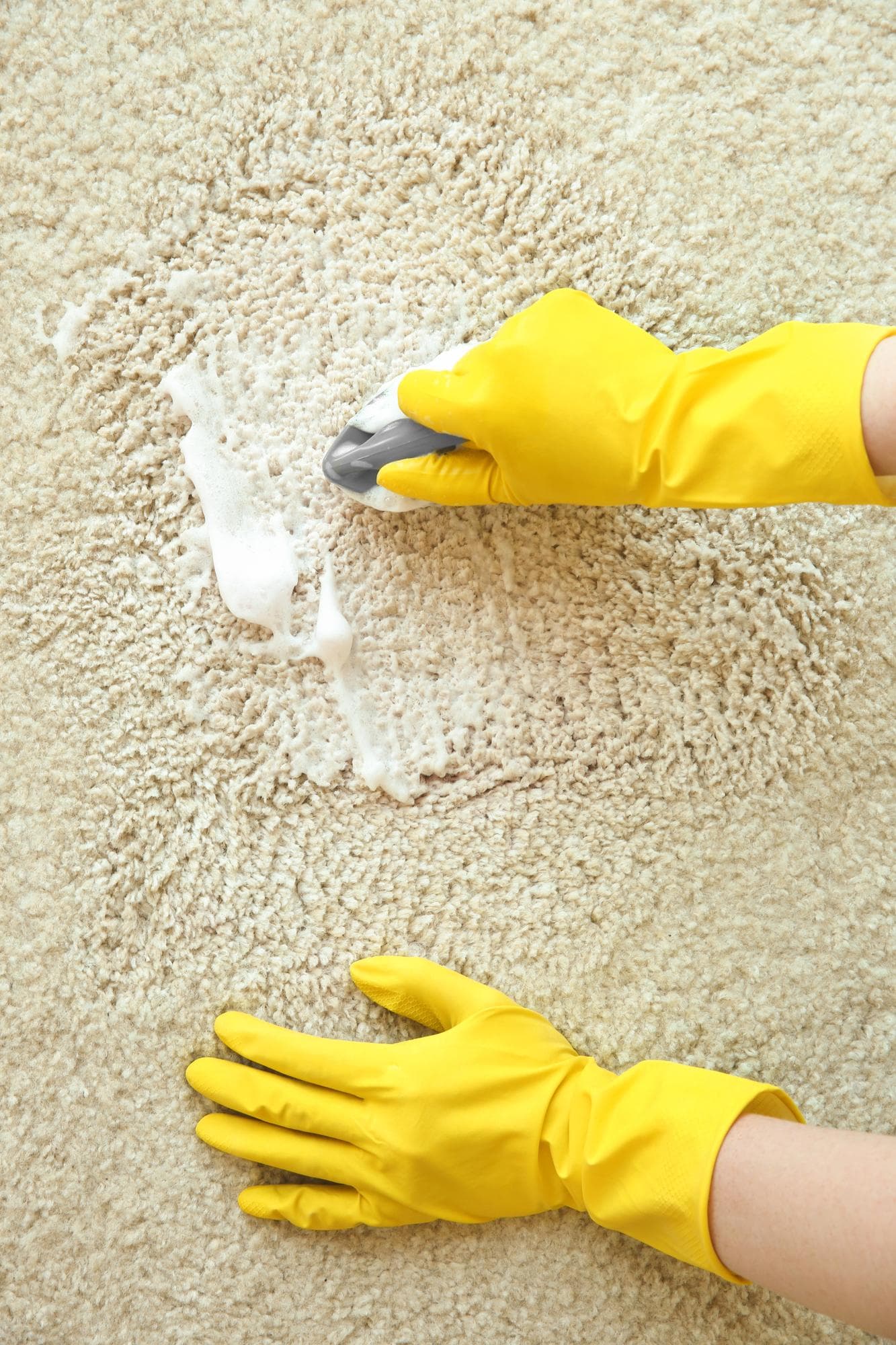 Carpet Shampoo